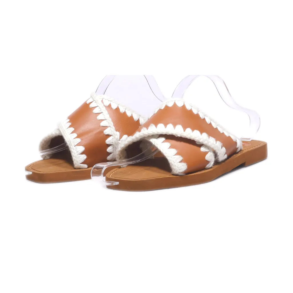 Chloe Flat Sandals Leather Brown Colour For Women