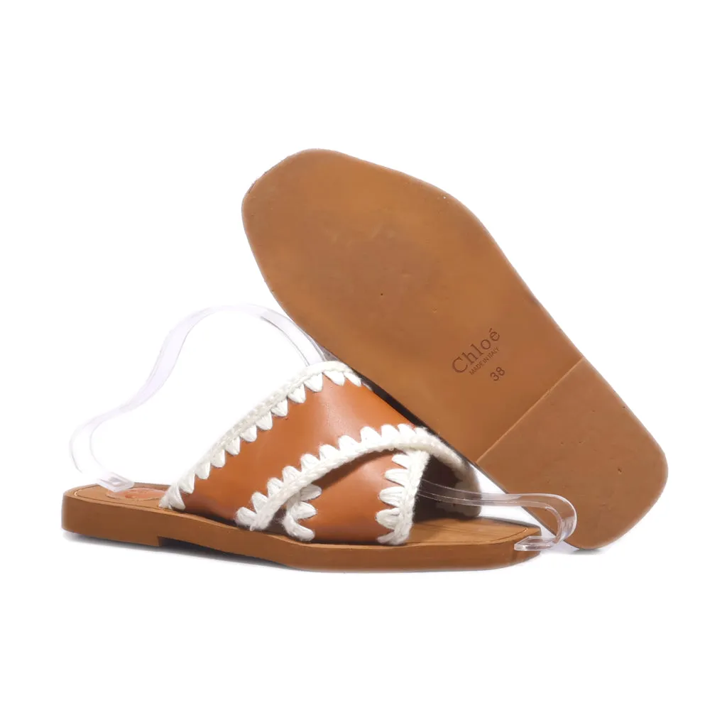 Chloe Flat Sandals Leather Brown Colour For Women