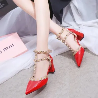 Jenny Chic Designer Pointed Toe Heels