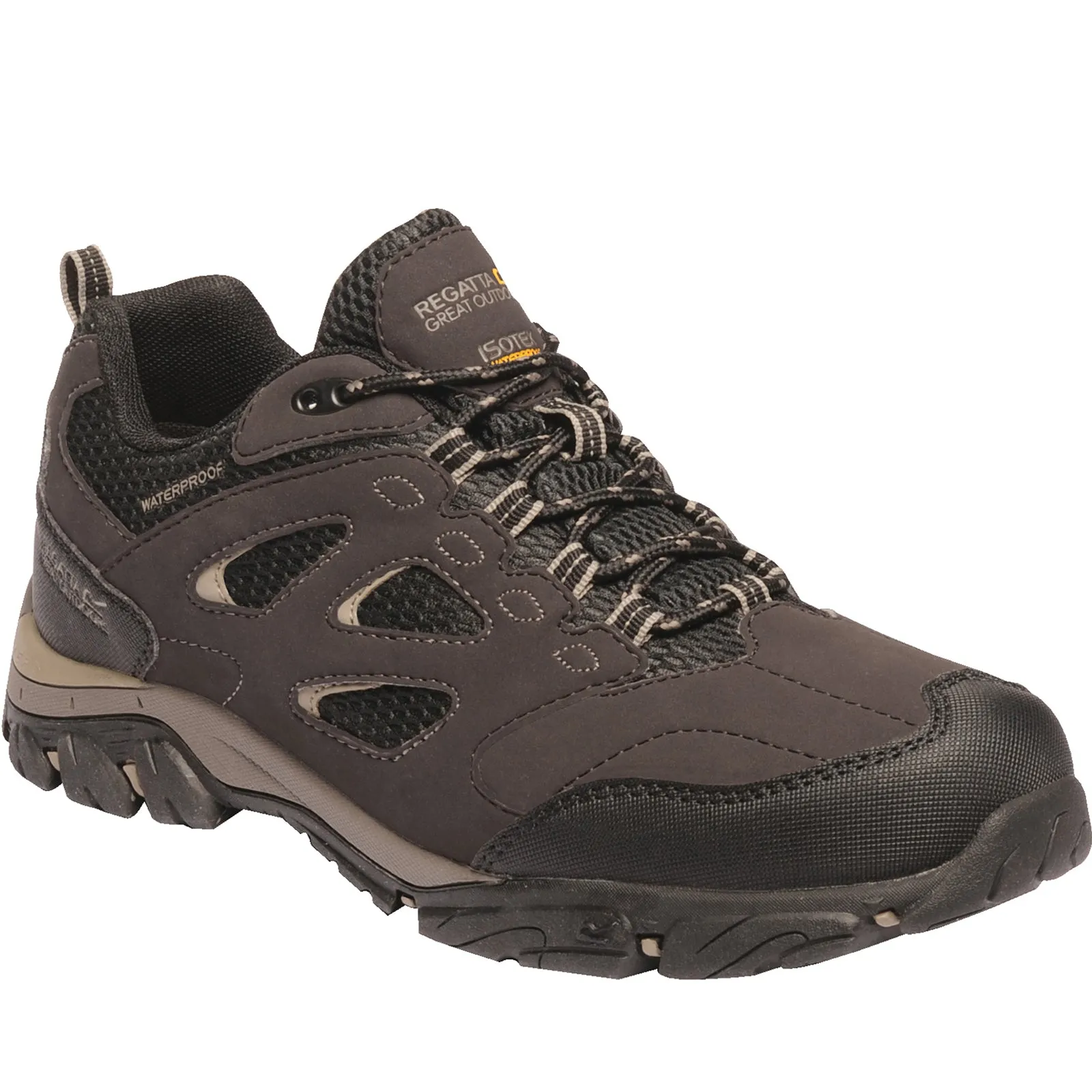 Regatta Mens Holcombe Waterproof Low Walking Shoes